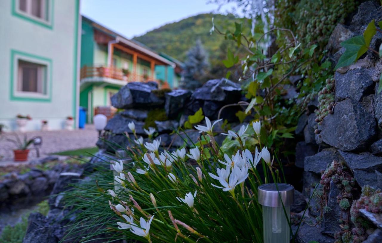 Pension Charisma Băile Herculane Exteriör bild